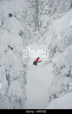 Idaho. Un felice snowboarder gode di una polvere fresca giornata in montagna. Foto Stock