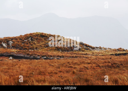 La torba o Turf Bog in Connemara County Galway Repubblica di Irlanda Europa Foto Stock