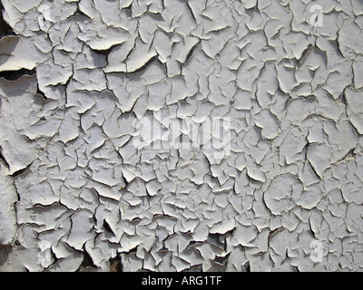 White blisterato peeling e dolore sulla lamiera Foto Stock