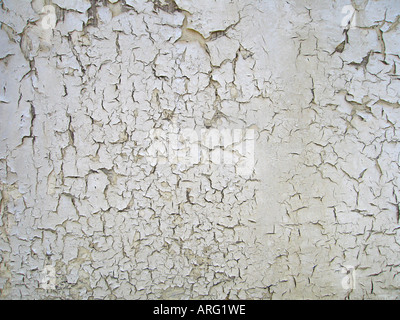 Bianco vernice crackled su legno Foto Stock