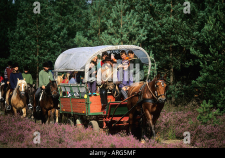 Un gruppo di ragazze e i loro cavalli di equitazione in brughiera lungo con un caravan Foto Stock