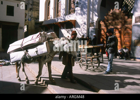 Venditore ambulante Fes el Bali la vecchia medina di Fez Fès-Boulemane il Nord del Marocco e Nord Africa Foto Stock