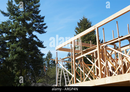 Esterno del telaio di costruzione Foto Stock