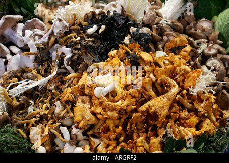 I funghi selvatici per la vendita al mercato di Borough London REGNO UNITO Foto Stock