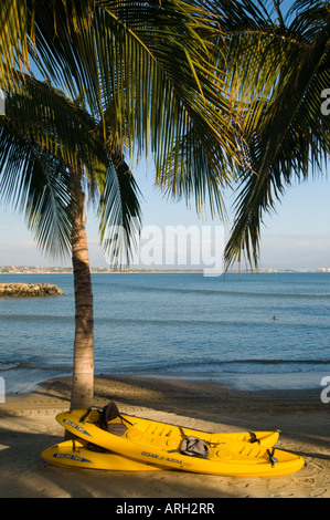 Messico Riviera Nayarit La Cruz de Huanacaxtle giallo kayak beach palme affacciato sulla Baia di Banderas vicino a Puerto Vallarta Foto Stock