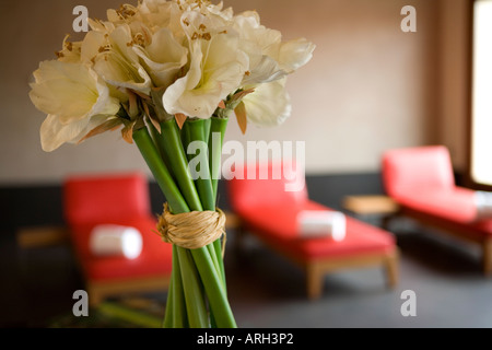 La Spa presso l'hotel di lusso Marques de Riscal Elciego Hotel La Rioja Cantabria Spagna Foto Stock