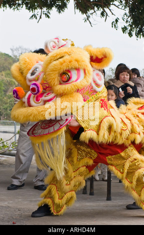 Anno Nuovo cinese la danza del Leone di cerimonia in un villaggio sull'Isola di Lantau, Hong Kong Foto Stock