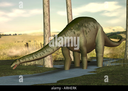 Dinosauro Apatosaurus Foto Stock