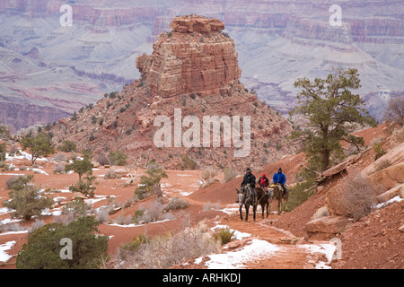 Una mulattiera si inerpica in treno il South Kaibab Trail nel Grand Canyon in inverno Foto Stock