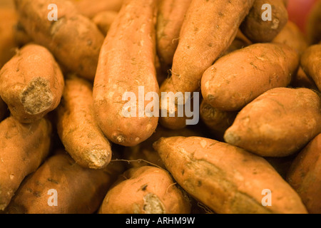 Boniatos nel mercato la Boqueria Foto Stock