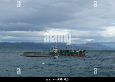 Isle of Mull Scottish Salmon Farm nel suono di Mull Foto Stock