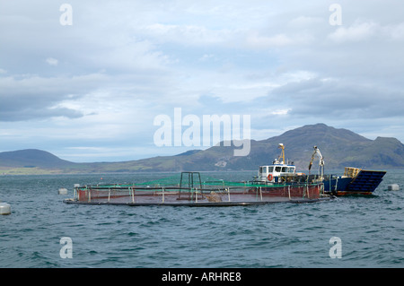 Isle of Mull Scottish Salmon Farm nel suono di Mull Foto Stock