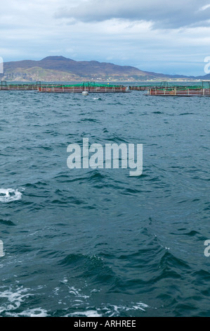 Isle of Mull Scottish Salmon Farm nel suono di Mull Foto Stock