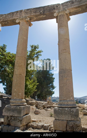 56 colonne ioniche circondano la piazza ovale, Jerash, antica Gerasa, Regno Hascemita di Giordania, il Medio Oriente. DSC 5445 Foto Stock