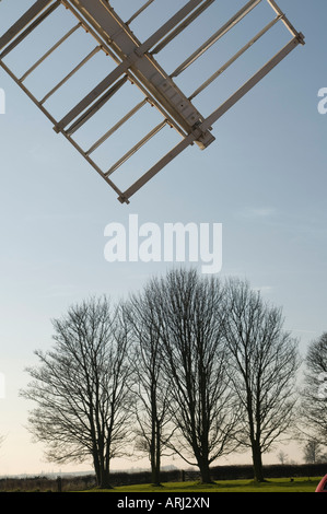 Il mulino a vento di vela con stagliano alberi, Nottinghamshire, Regno Unito Foto Stock