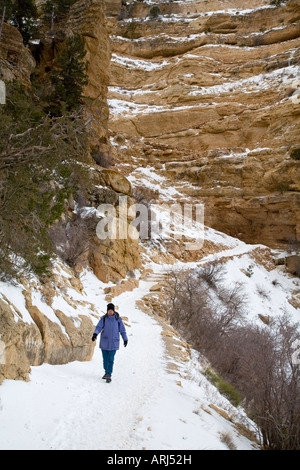 Escursionista sulla South Kaibab Trail nel Grand Canyon in inverno Foto Stock