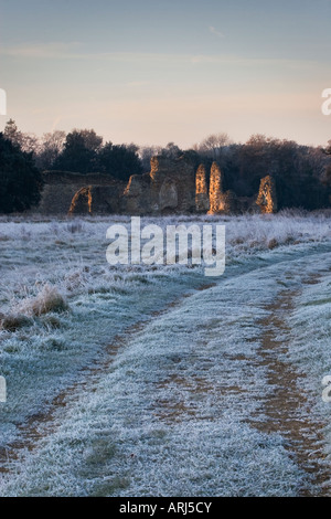 I resti della prima abbazia cistercense fondata in Gran Bretagna - Abbazia di Waverley - vicino a Farnham, Surrey in luce all'alba. Foto Stock