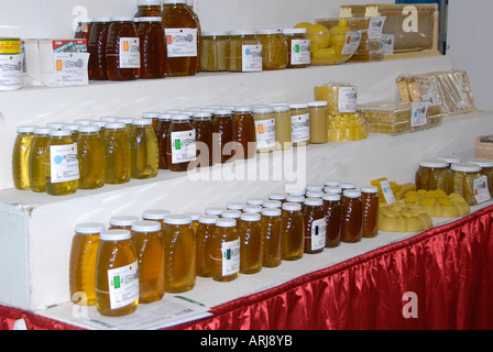 Michigan cresciuto in casa il miele delle api prodotti sul display in corrispondenza del Michigan State Fair tenutasi a Detroit Michigan MI Foto Stock
