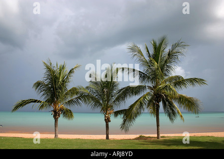 Spiaggia cittadina nella stagione umida, Australia Australia Occidentale, Kimberley, Broome Foto Stock