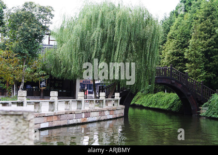 Wuzhen un patrimonio ricco centro collegati da fiumi e canali nella provincia di Zhejiang nel sud-est della Cina Foto Stock