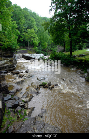 L'acqua cade sul nuovo River a New River Gorge National Park West Virginia WV Foto Stock