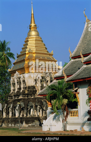 Wat Chiang Man, Chiang Mai, Thailandia, Asia Foto Stock