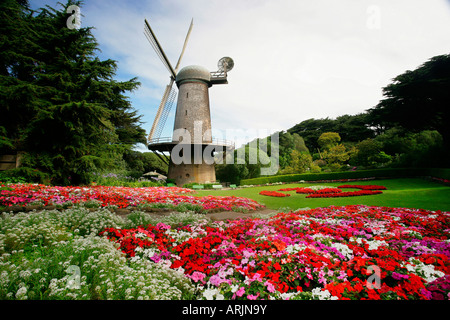 Basso angolo di visione di un mulino a vento in un parco Golden Gate Park di San Francisco, California, Stati Uniti d'America Foto Stock