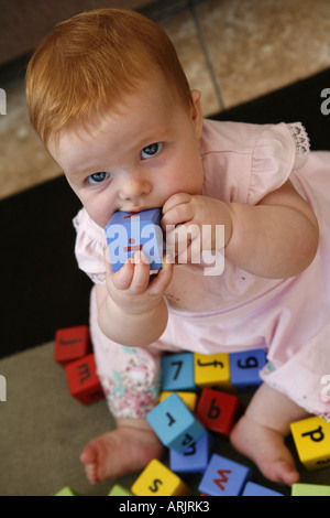 Sei mesi il bambino gioca con blocchi di costruzione Foto Stock