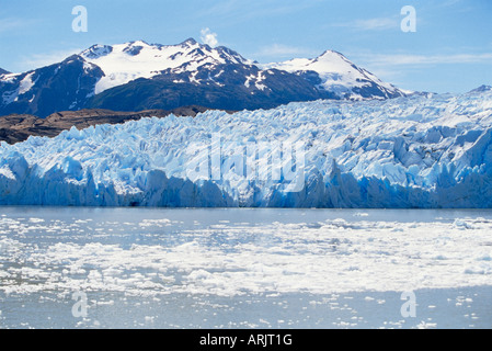 Lago ghiacciaio Grey, Parco Nazionale Torres del Paine, Patagonia, Cile, Sud America Foto Stock
