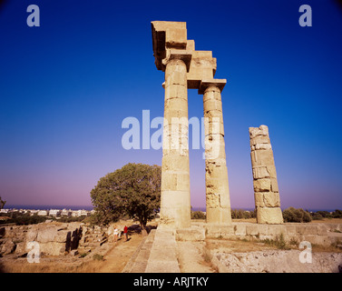 L'acropoli di Rodi, rodi Città, isola di Rodi, Dodecanneso, isole greche, Grecia, Europa Foto Stock