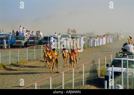Camel Race Course, Mudaibi, Oman, Medio Oriente Foto Stock