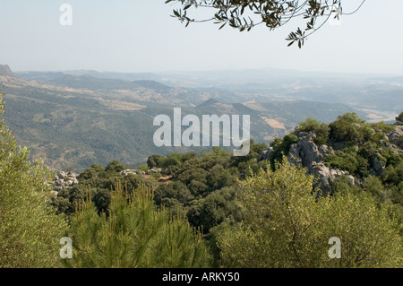 Una vista della Sierra Bermeja montagne dal villaggio di Gaucin Malaga Andalusia Spagna Foto Stock