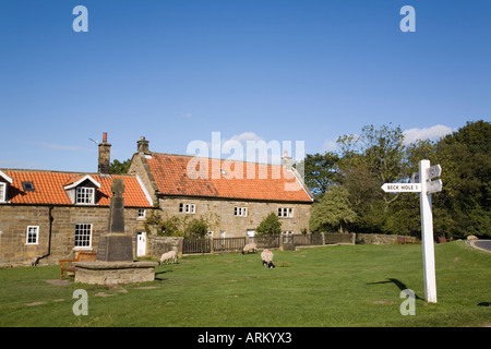 Villaggio Verde con tradizionale cottage in pietra Goathland North Yorkshire Moors "Parco Nazionale" England Regno Unito Foto Stock
