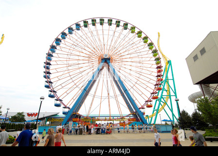 Ruota Gigante a Cedar Point Amusement Park a Sandusky Ohio OH Foto Stock