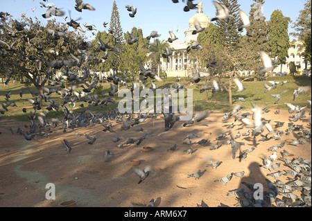 KNA101914 il Vidhan Soudha Banglore Karanataka India Foto Stock