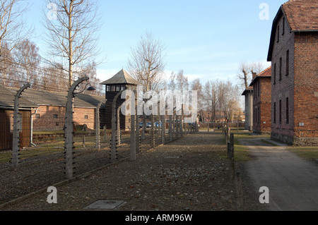 Blocchi di prigione di Auschwitz Foto Stock