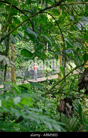 Un visitatore su un ponte sospeso su Arenal ponti pensili Trail Arenal Costa Rica Foto Stock