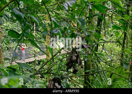 Un visitatore su un ponte sospeso su Arenal ponti pensili Trail Arenal Costa Rica Foto Stock