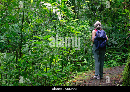 Un visitatore sull'Arenal ponti pensili Trail Arenal Costa Rica Foto Stock