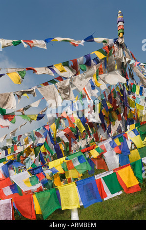 La preghiera buddista bandiere, McLeod Ganj Dharamsala, Himachal Pradesh, India, Asia Foto Stock