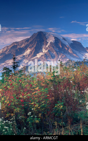 Paesaggio, il Parco Nazionale del Monte Rainier, nello stato di Washington, Stati Uniti d'America, America del Nord Foto Stock