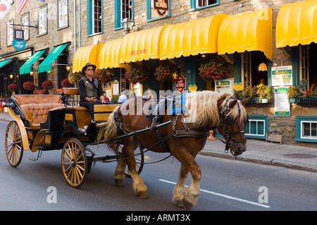 Carro trainato da cavalli lungo Rue St. Louis, Quebec City, Quebec, Canada. Foto Stock