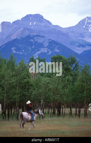 La donna a cavallo, Banff, Alberta, Canada. Foto Stock