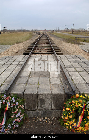 Fine della linea ferroviaria Birkenhau Auschwitz Foto Stock