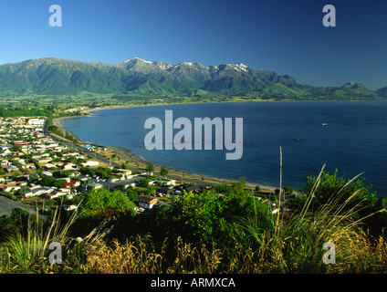 Kaikoura, Nuova Zelanda Foto Stock