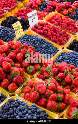 Jean Talon Mercato, frutti di bosco freschi sul display, Montreal, Quebec, Canada. Foto Stock