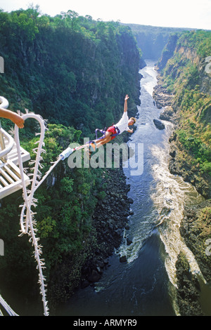 Il Bungy o bunji jumping off 152 metro alto Victoria Falls ponte sopra il fiume Zambezi tra lo Zimbabwe e Zambia Foto Stock