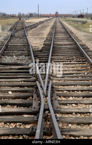 Linea ferroviaria area di scarico Auschwitz Birkenhau Foto Stock