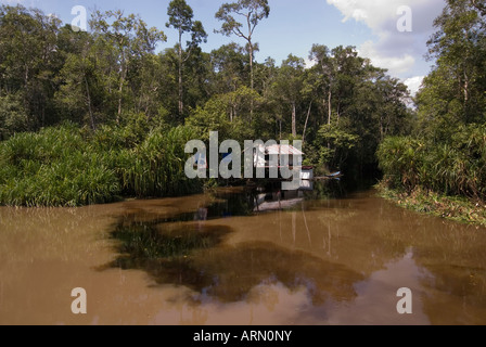 Fiume in Tanjung messa parco nazionale di Borneo che mostra l'inquinamento dovuto alla miniera illegale Foto Stock