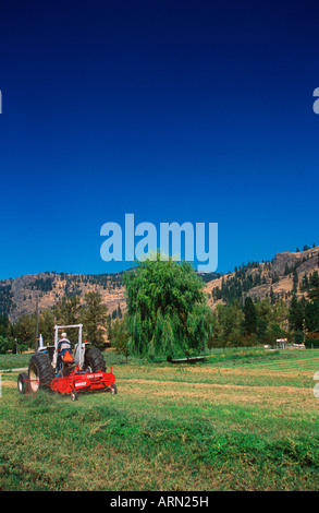 Fattoria di Midway sulla Highway 3, British Columbia, Canada. Foto Stock